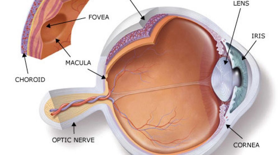 Patologie della retina