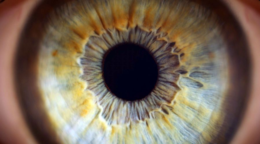 Maculopatia secca: nuovo trattamento con la fotobiomodulazione!